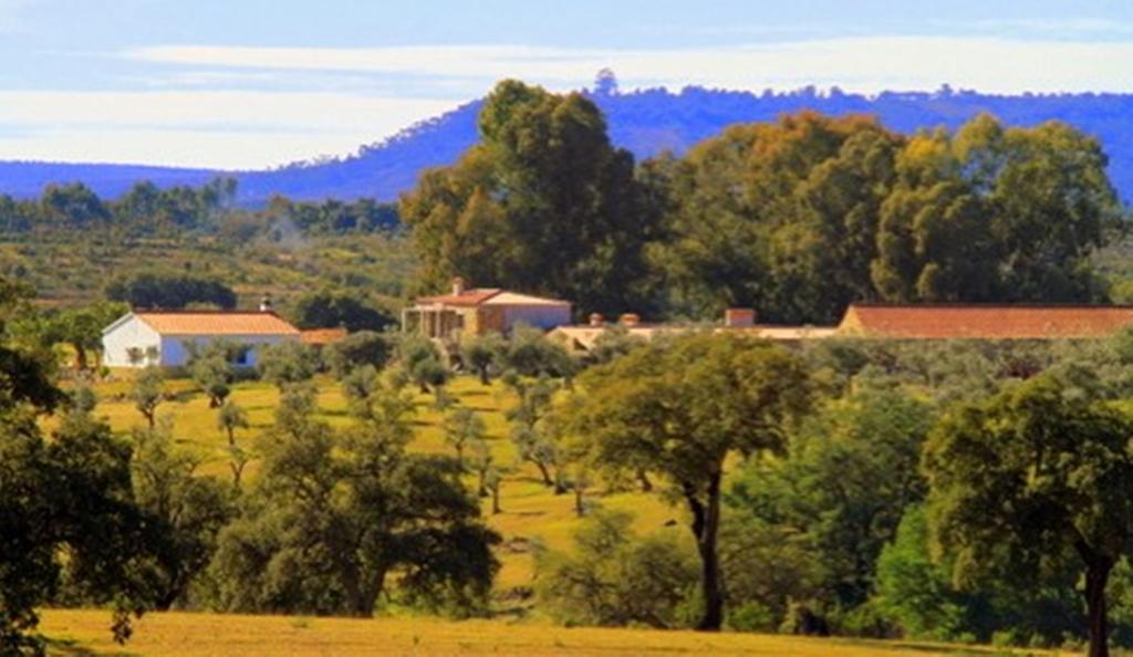 Couto Dos Pardinhos Villa Monforte da Beira Ngoại thất bức ảnh